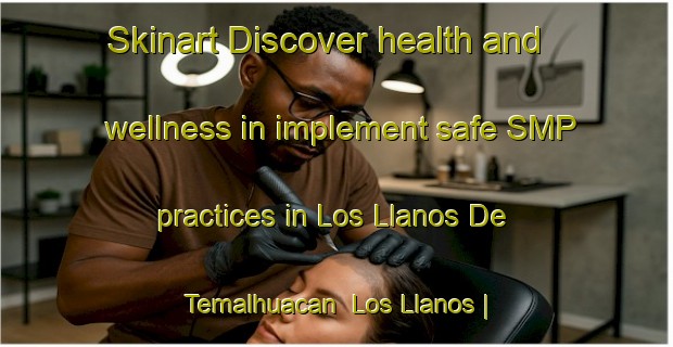 Skinart Discover health and wellness in implement safe SMP practices in Los Llanos De Temalhuacan  Los Llanos | SmpTraining | SmpClasses | SkinartTraining-Mexico